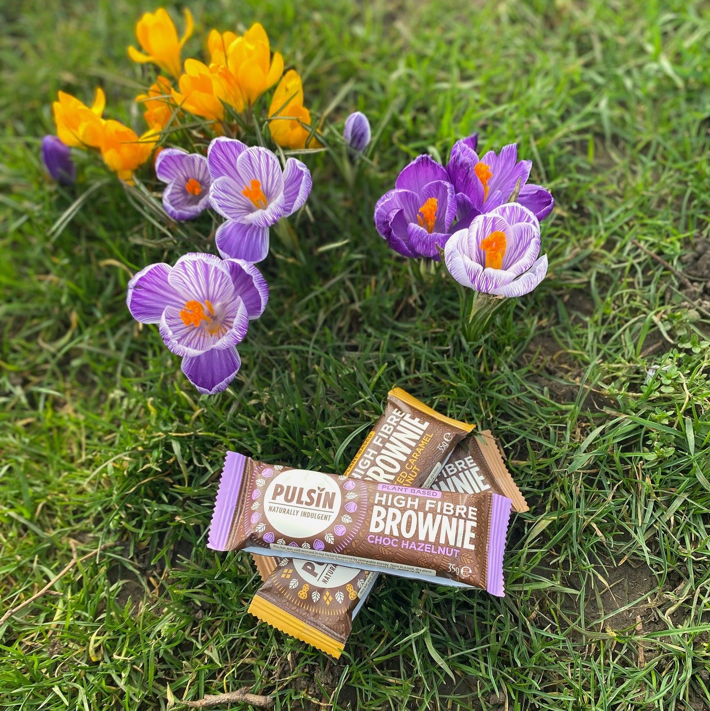 High fibre Brownie fra pulsin alle varianter