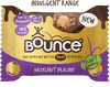 Bounce Dipped Hazelnut Praline