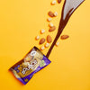 Bounce Dipped Hazelnut Praline