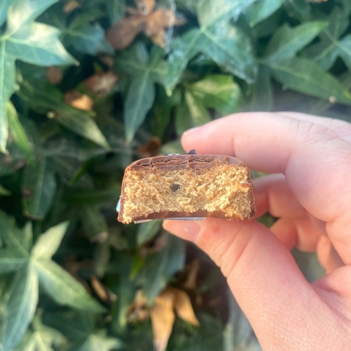 Protein bar Choc Fudge skåret over