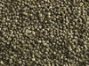 teapigs jasmin perler tæt på close up