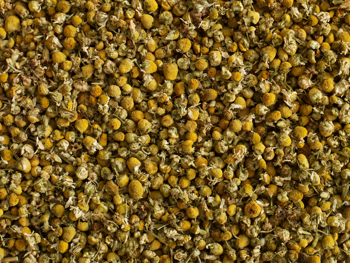 teapigs løs økologisk kamilleblomster te tæt på