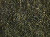 teapigs Mao Feng grøn te tæt på. close up